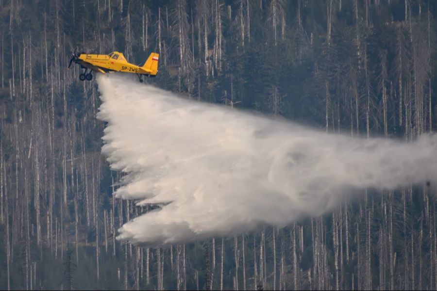 Löschflugzeug Waldbrand Brocken