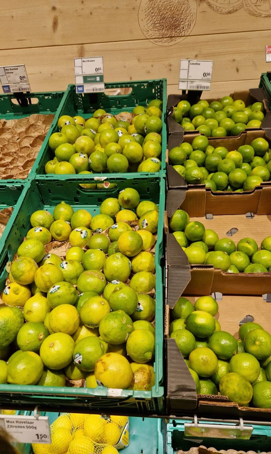 Die Bio-Zitronen sind teilweise grüner als die Limetten.