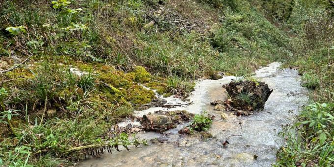 Buechholdenbächli in Lausen BL weiss verfärbt. Buechholdenbächli