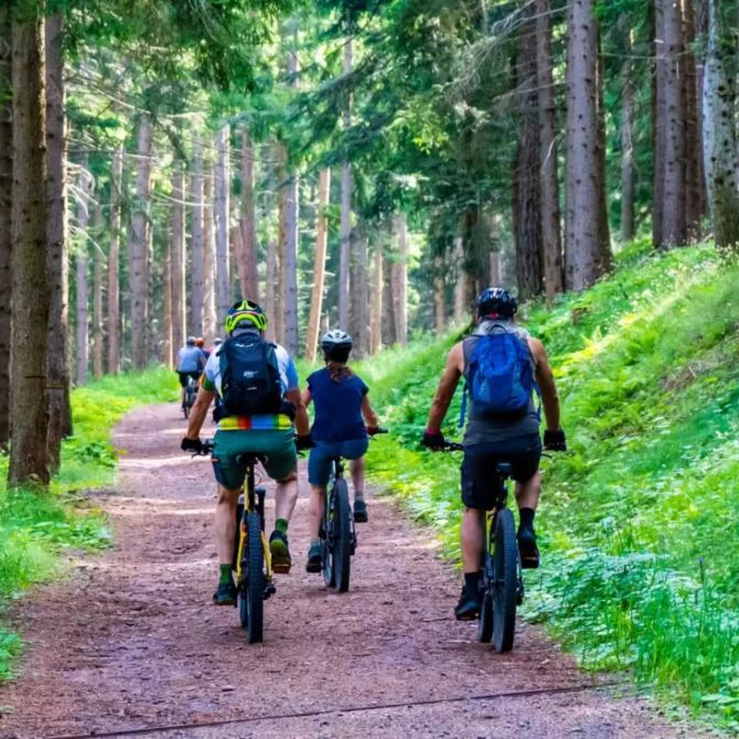 Biker Zug Wald