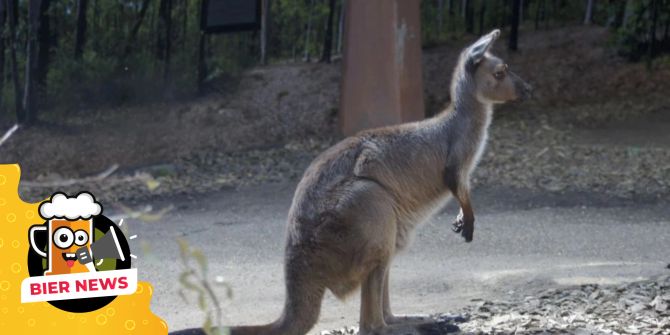 Australien Tiere tödlich