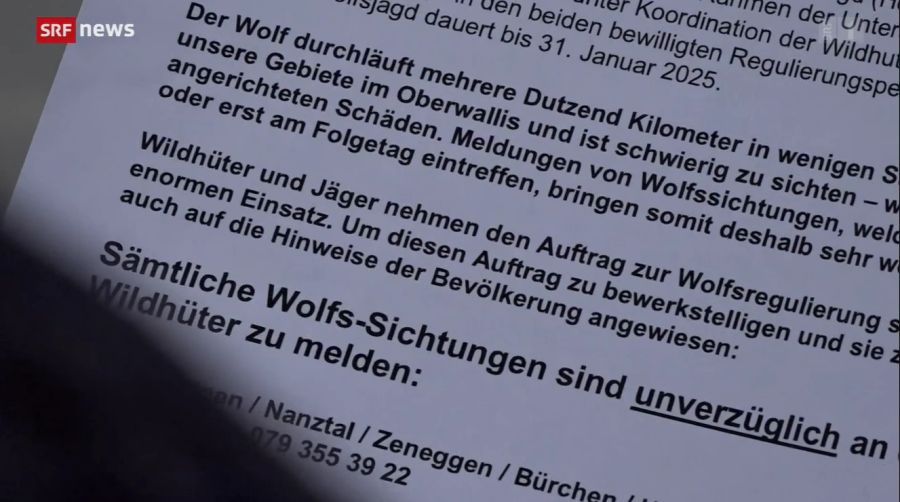 Die Einwohner werden mit einem Schreiben nun aufgefordert, Wolfssichtungen «unverzüglich» zu melden.