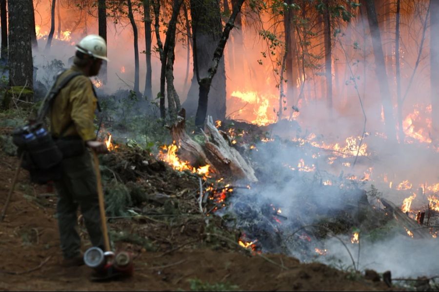 Ein Feuerwehrmann kämpft gegen das Park Fire, das nach Angaben des California Department of Forestry and Fire Protection (Cal Fire) bereits über 353.194 Acres verbrannt hat, in Butte County, Kalifornien, USA, 28. Juli 2024.