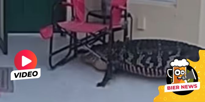 Krokodil