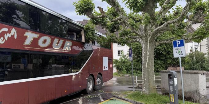 Reisebus kollidiert mit Baum. Unfall