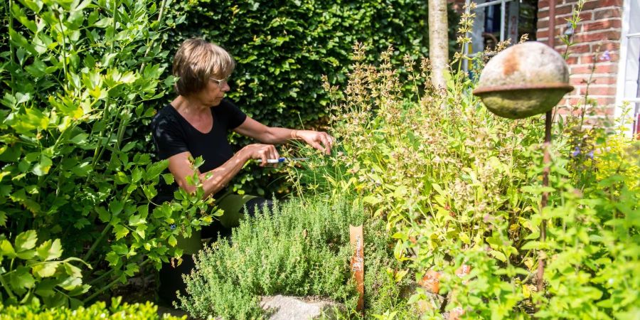 Laut einer aktuellen Auswertung der Beratungsstelle für Unfallverhütung ist die Zahl der Unfälle im Haus oder Garten in den letzten zehn Jahren zugenommen.