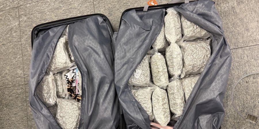 Sichergestelltes Marihuana Flughafen Zürich