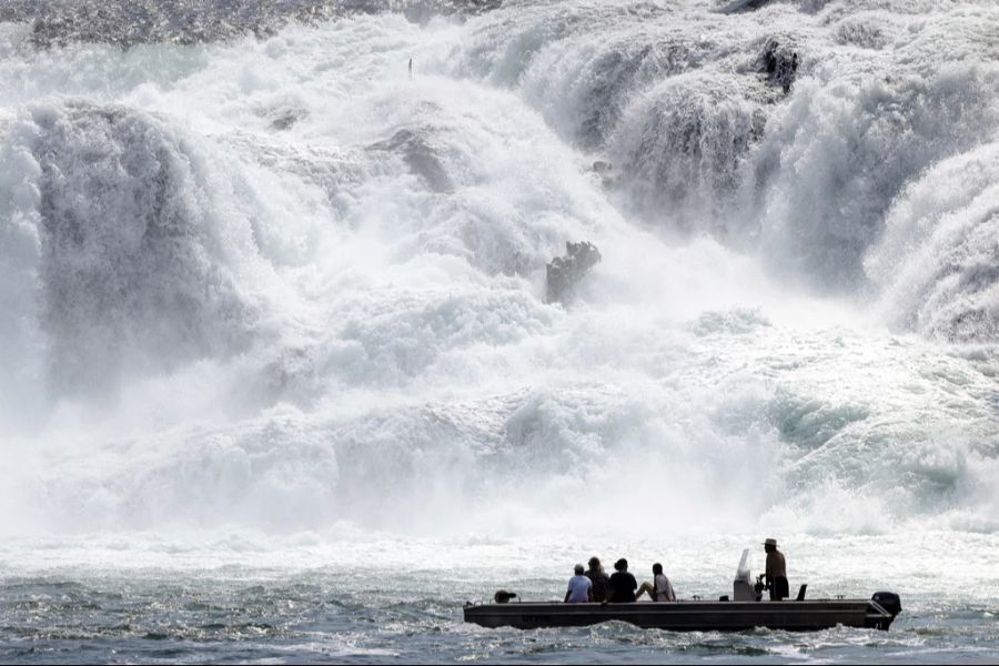 Der Rheinfall führt ebenfalls besonders viel Wasser. (Archivbild)