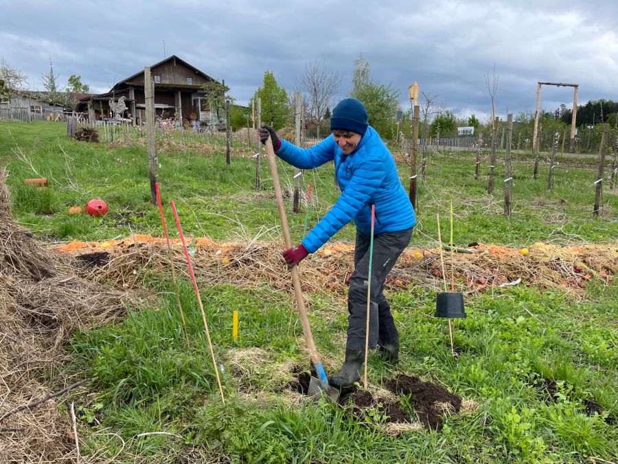 Nach einem Monat wurden die ersten Unterhosen auf dem Juckerhof in Seegräben ZH wieder ausgegraben.
