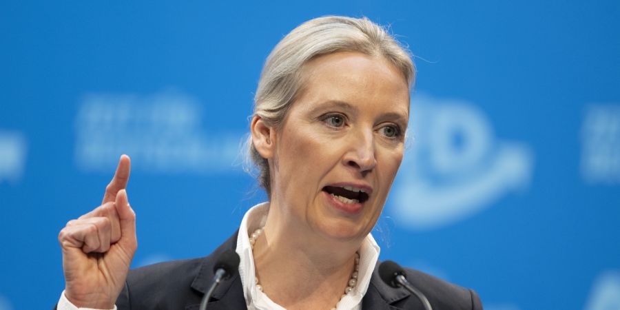 AfD Alice Weidel