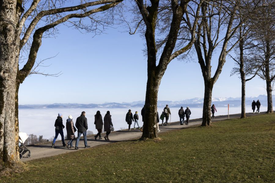 Montag und Sonntag versprechen mehr Sonne, es wird deutlich wärmer mit 12 bis 15 Grad – das Wetter dürfte für einen Ausflug locken.
