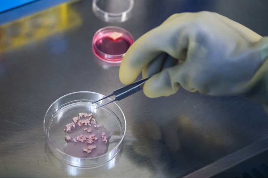 In einer Folgestudie werden die gesammelten Proben auf Geschlechtshormone und die Zusammensetzung des Mikrobioms von Haut und Atemwegen untersucht. (Symbolbild)