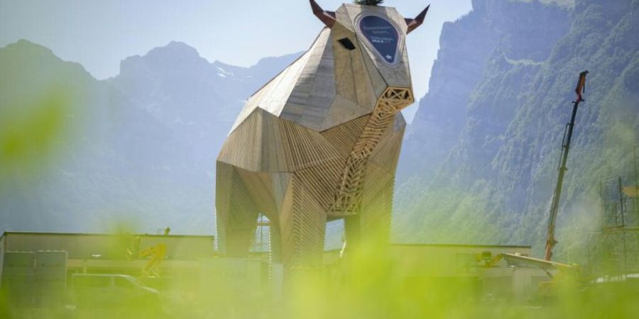 Der «Muni Max» soll künftig in Andermatt UR zu stehen kommen. Der Kanton Uri unterstützt die Konzeptphase finanziell. (Archivbild)