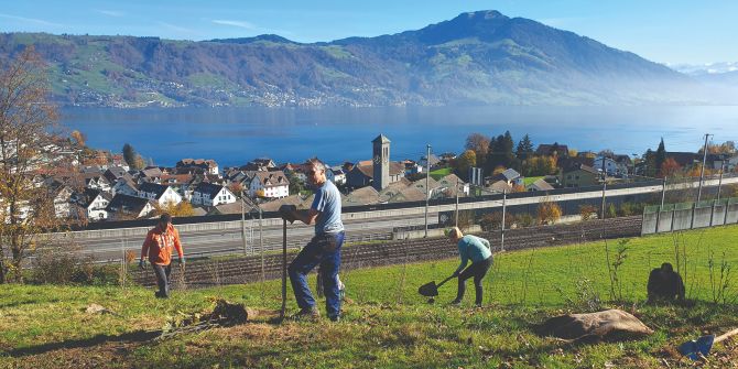 Freiwillige pflanzen Hecke