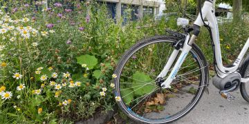Velo