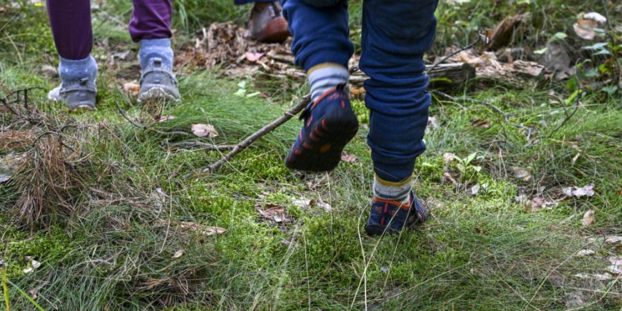 Der Wald ist für den Waldkindergarten der zentrale Bildungsraum. (Archivbild)