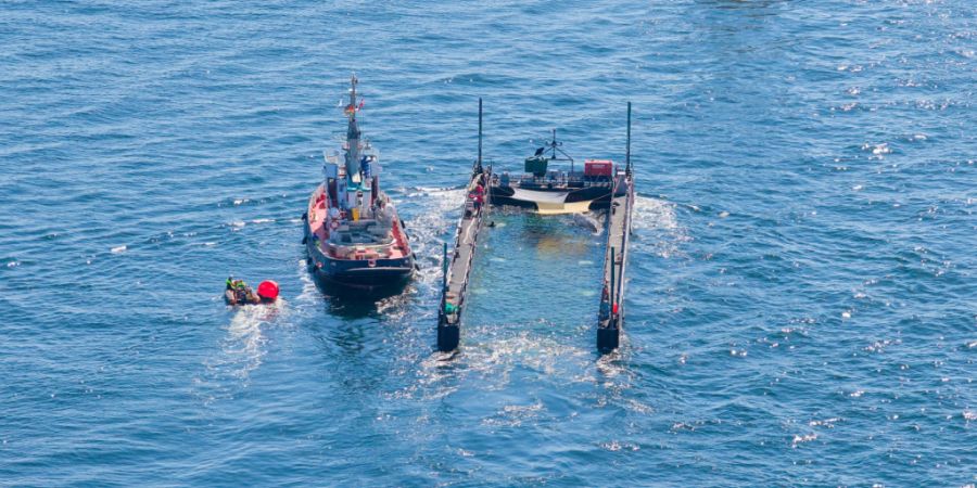dpatopbilder - Das Schutznetz an der Barge, das den Buckelwal bei seinem Transport aus der Ostsee bislang vom offenen Wasser trennte, ist entfernt worden. Gleichzeitig wurde der Lastkah...