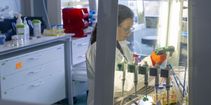 Roche übernimmt PathAI: Mit künstlicher Intelligenz werden pathologische Bilder analysiert und ausgewertet. (Symbolbild)