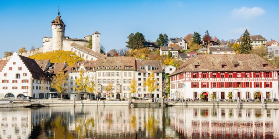 EInbruch Schaffhausen
