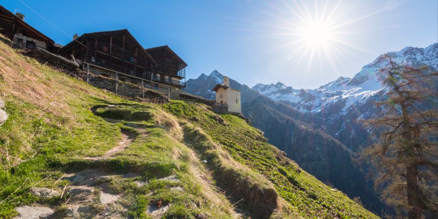 Holzhütte Berg Panorama
