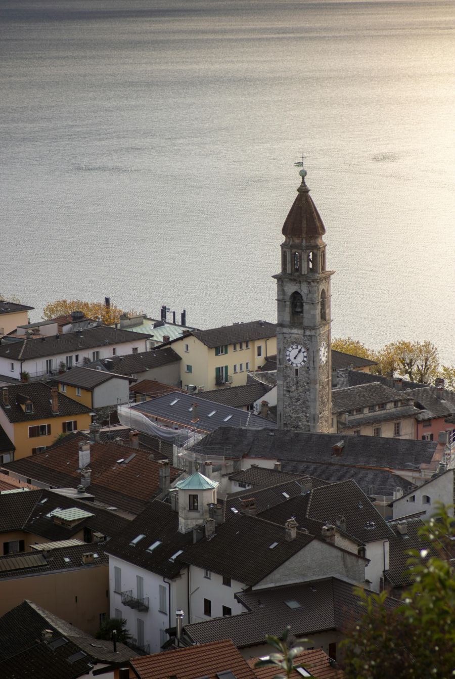 Auch das Tessin wappnet sich und trifft Vorkehrungen gegen das Chikungunya-Virus. (Symbolbild Locarno)