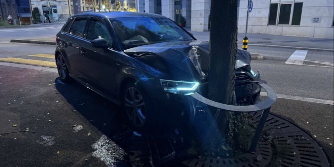Selbstunfall Moosbruggstrasse