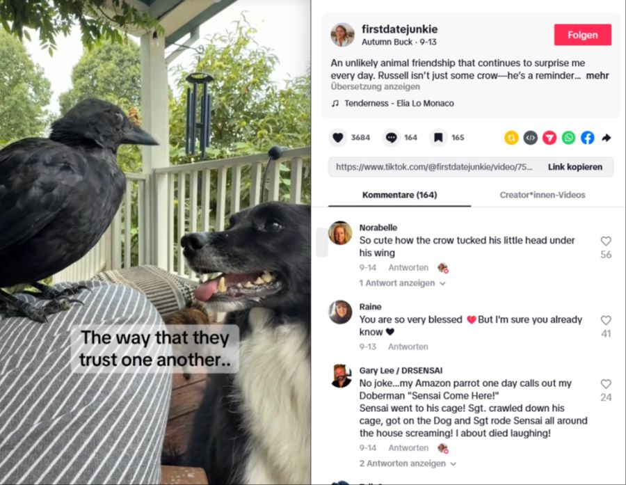 Russel und Meeko sind ein Team geworden.