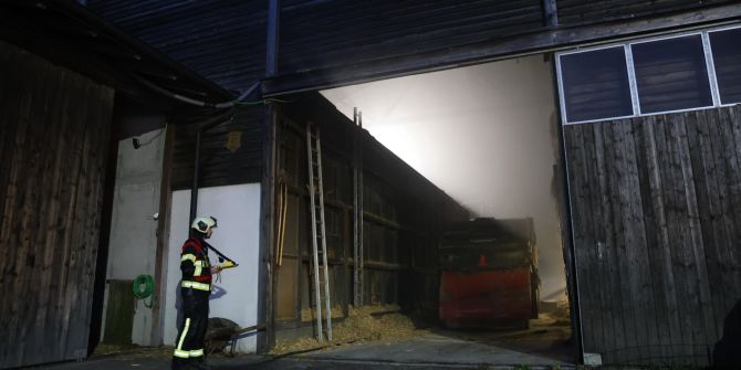Brand in Kuhstall