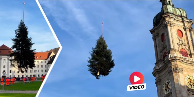 St. Galler Christbaum