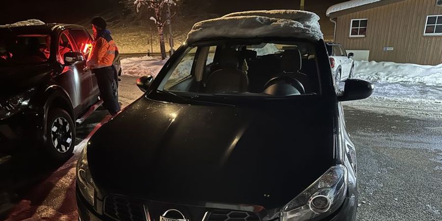 Fahrzeuglenker kontrolliert.