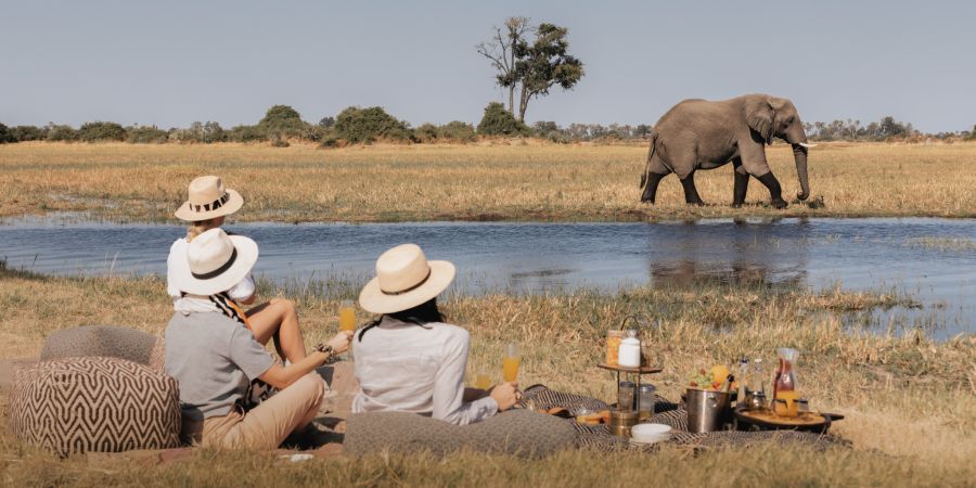 Safari Picknick Paar Elefant Fluss