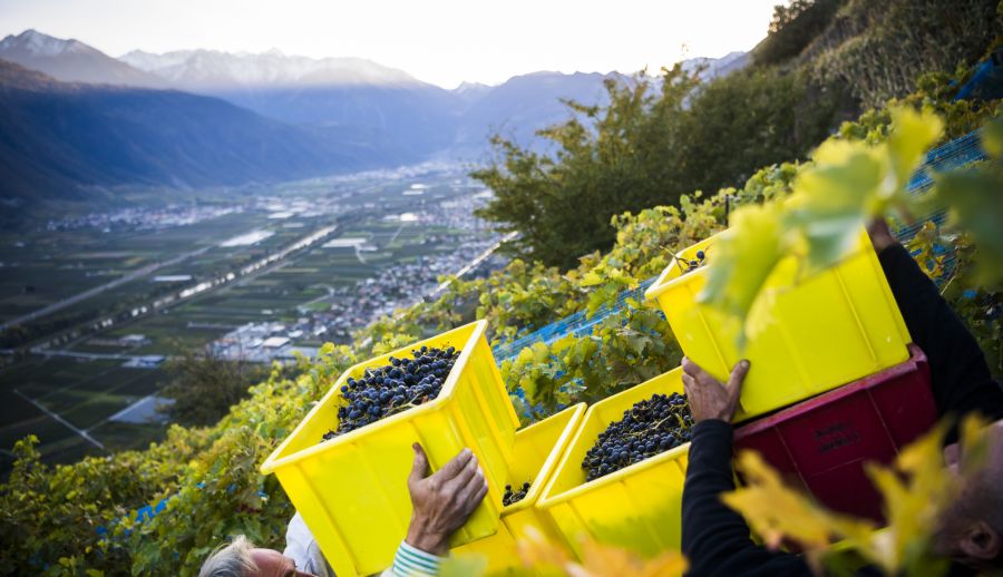 Zu schaffen machen etwa die Belastung, die sinkenden Preise, Einkommensdruck und Konkurrenz aus dem Ausland.