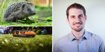 Mähroboter Igel Tobias Sennhauser