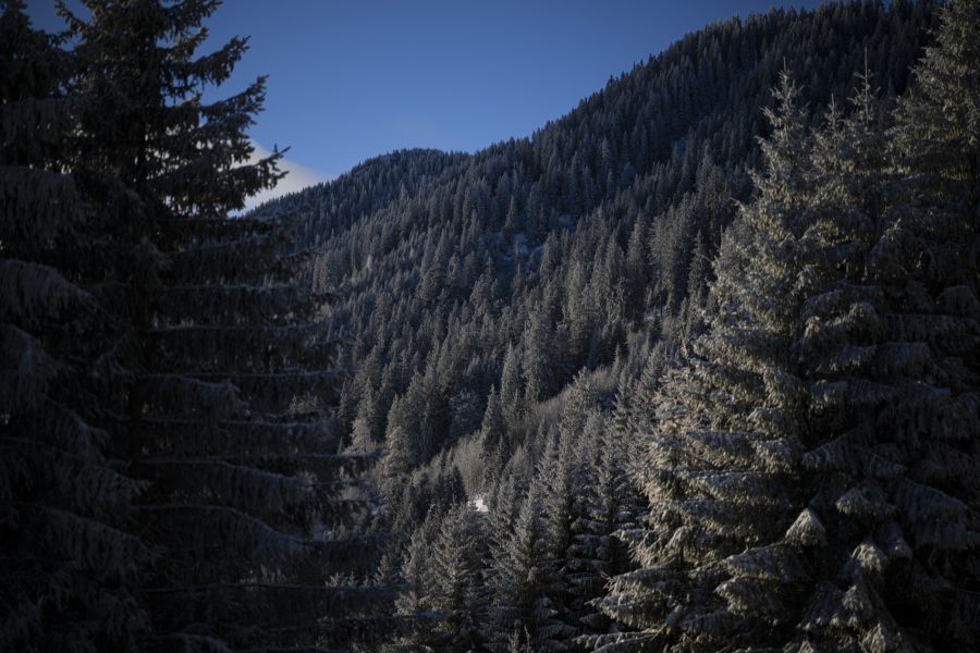 Die Prognose ist jedoch weiterhin unsicher. Vereinzelte Schneeflocken können nicht ausgeschlossen werden. (Symbolbild)