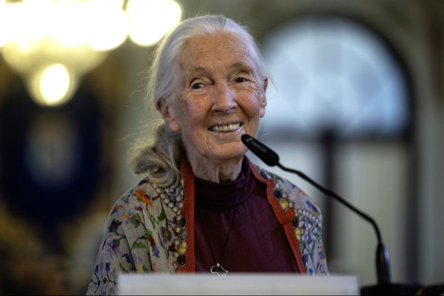 Jane Goodall