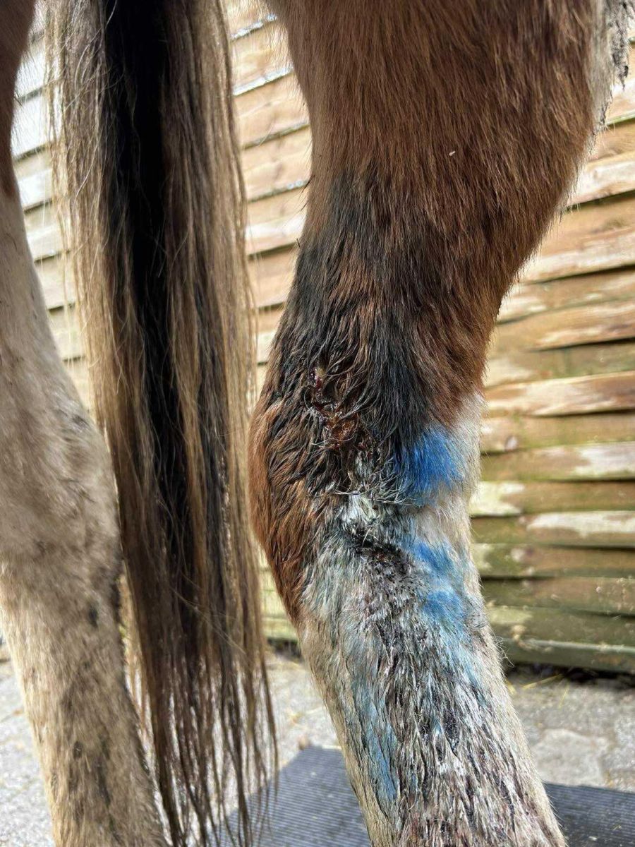 ... waren schmutzig ...