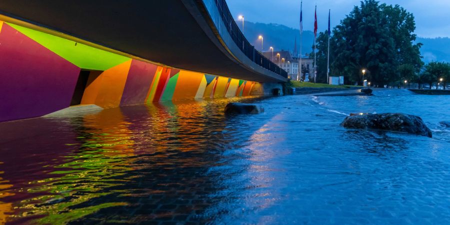 Zugersee über die Ufer getreten.