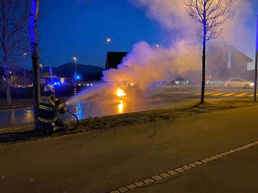 Die Feuerwehr konnte das Fahrzeug löschen.