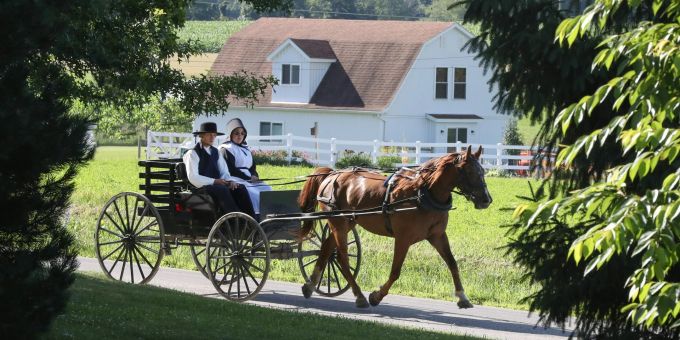 Von einem Supermarkt-Parkplatz wurde einer Amish-Familie ein Wagen mitsamt Pferd gestohlen. amish supermarkt pferd wagen