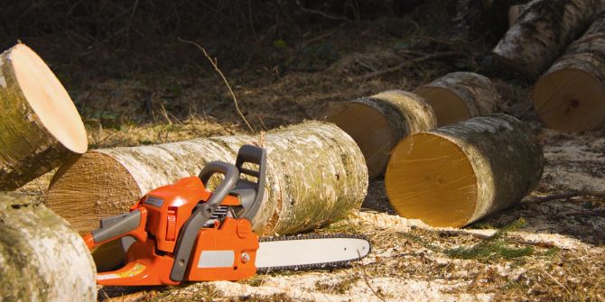 Motorsäge Wald Späne Baumfällung
