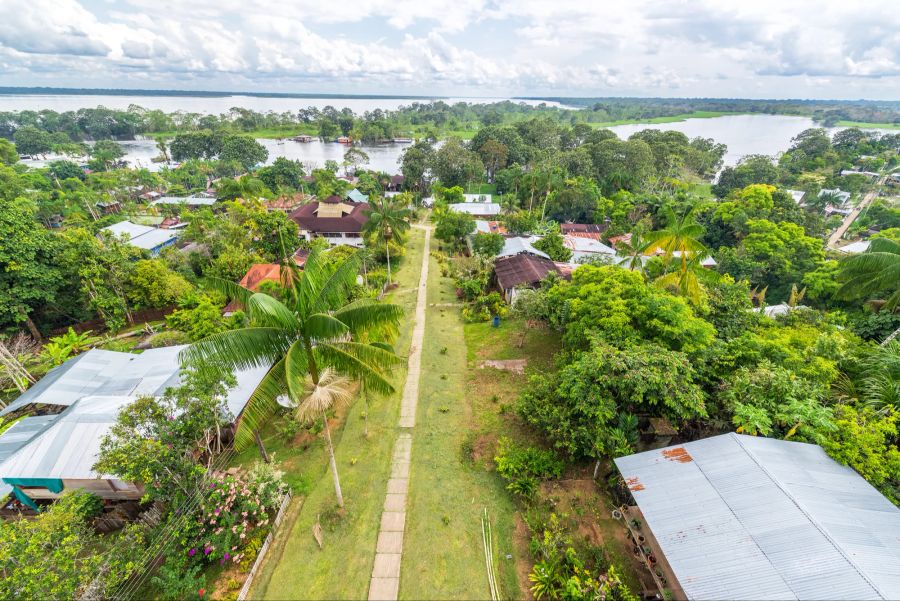 Dorf Palmen Fluss Amazonasgebiet