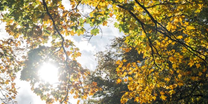 Herbst