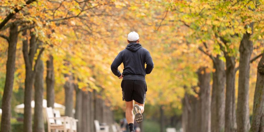 Ein Mann joggt im Grossen Garten in Dresden unter herbstlich gefärbten Bäumen.