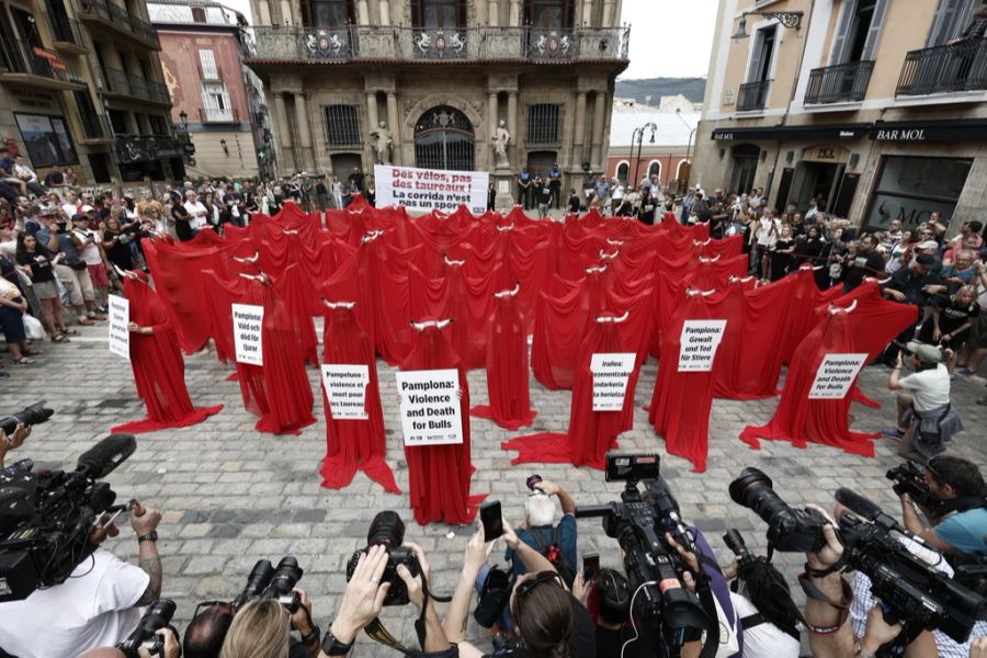 Sanfermin Pamplona Stierhatz Demonstranten