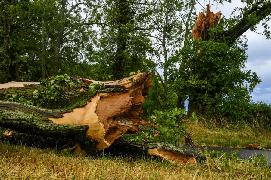 Diese Woche fegte ein örtlich heftiges Unwetter über die Schweiz. (Archiv)