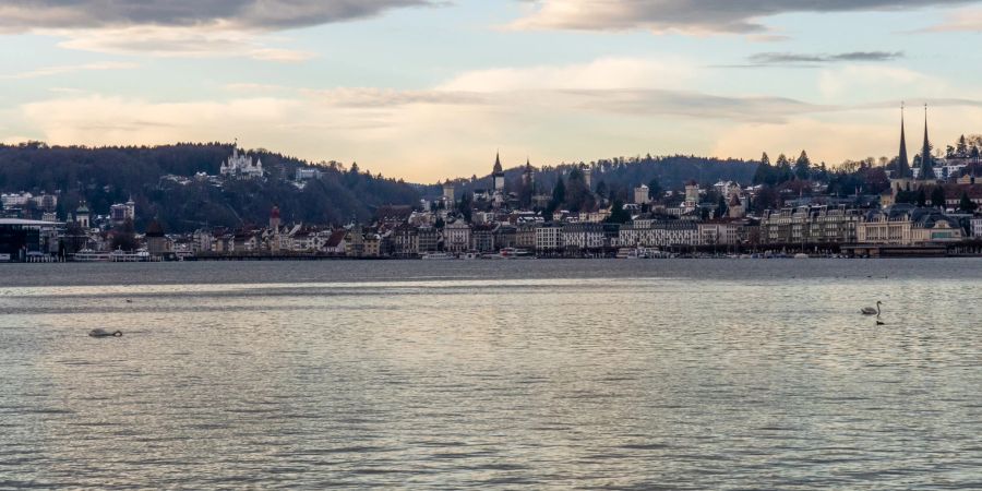 Ausblick von der Lido Wiese auf die Altstadt Luzern.