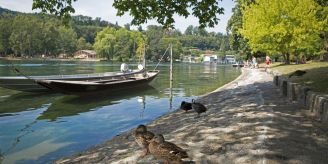 Schaffhausen (SH) - Jungparteien fordern «ein belebtes Rheinufer»