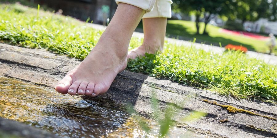 Spazierengehen tut gut und hält fit. Ein Orthopäde empfiehlt, zwischendurch auch mal rückwärts oder barfuss zu laufen.