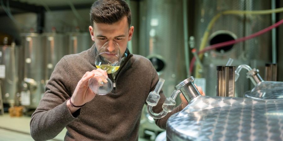 Winzer Carlo Schmitt steht mit einem Glas Wein im Weinkeller. Der 24-jährige führt den Weinbaubetrieb nach dem plötzlichen Tod seines Vaters weiter.
