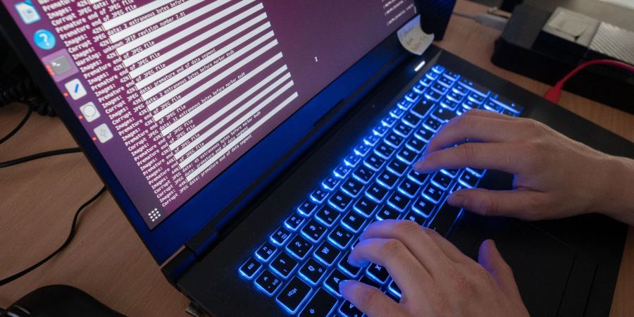In Zusammenarbeit unter anderem mit Europol sind Ermittler in allen Bundesländern gegen Cyberkriminalität vorgegangen.